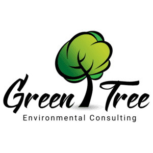 WEB ARTIST - Digital Marketing Agency