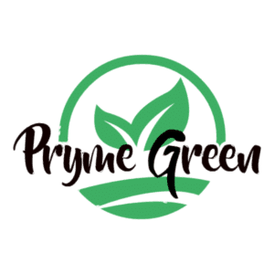 WEB ARTIST - Digital Marketing Agency