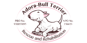 Adora-Bull Terrier